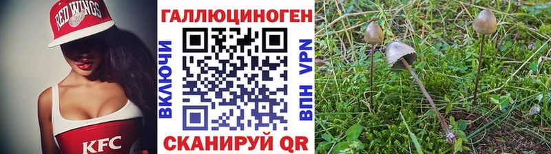 Псилоцибиновые грибы MAGIC MUSHROOMS  Покачи 